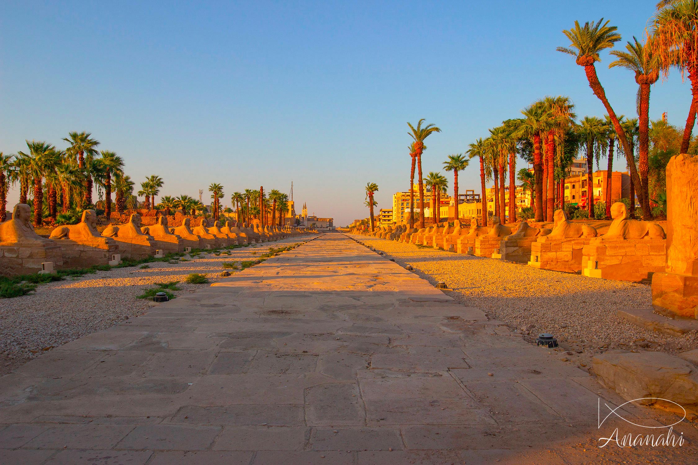 Paysages d'Egypte de Egypte