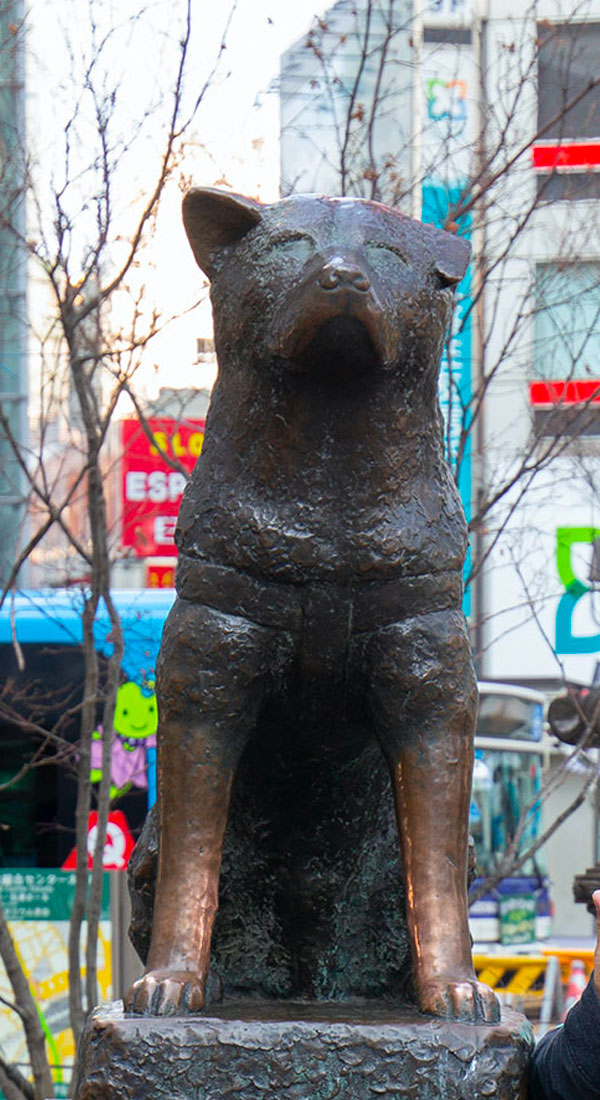 Shibuya