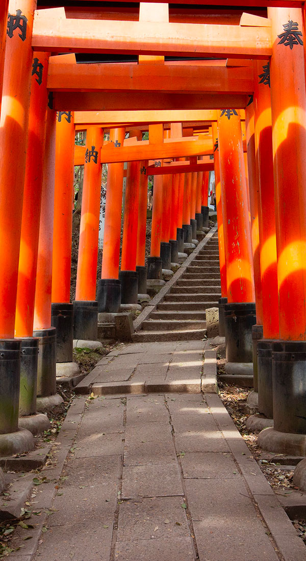 Fushimi-ku