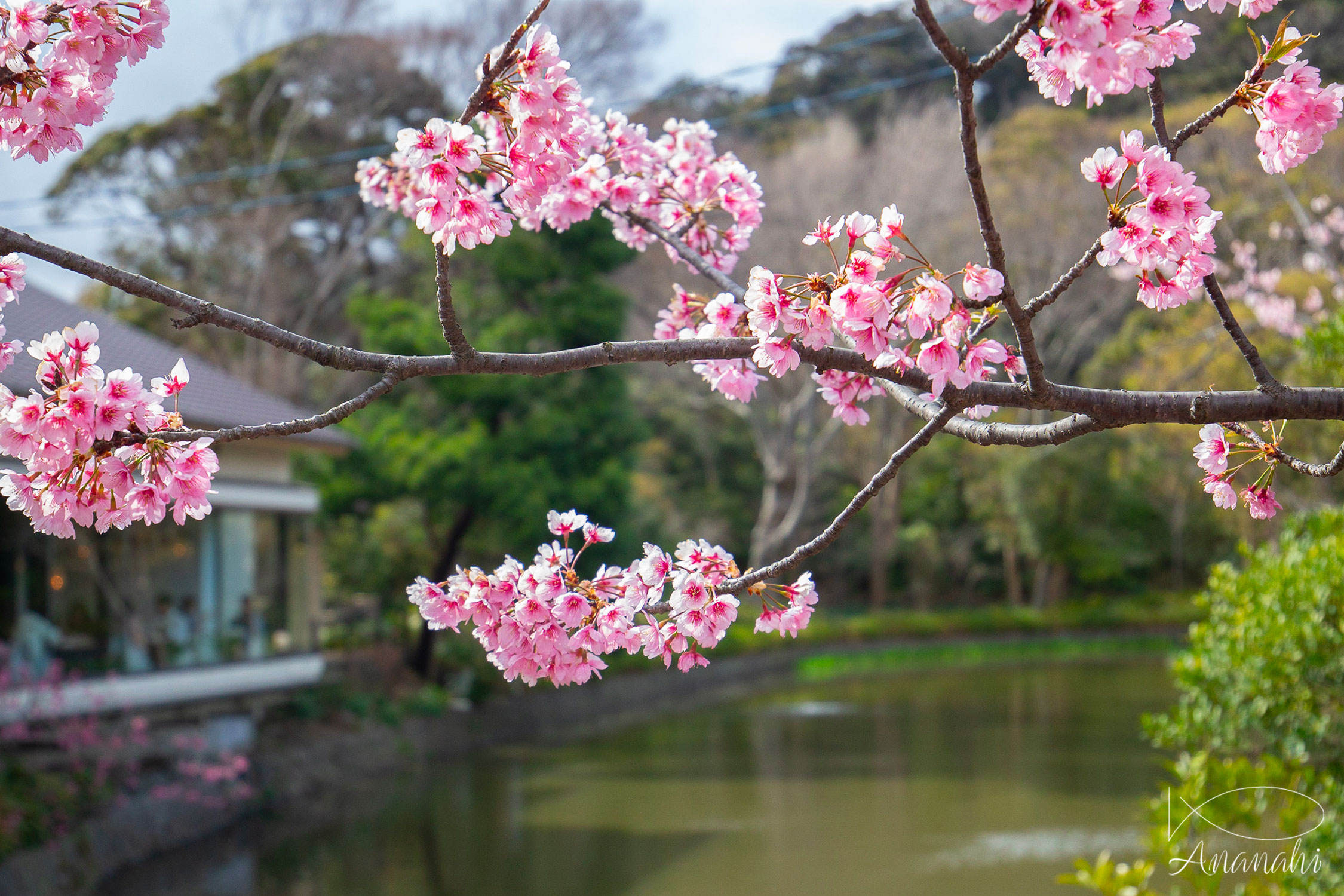 Kamakura