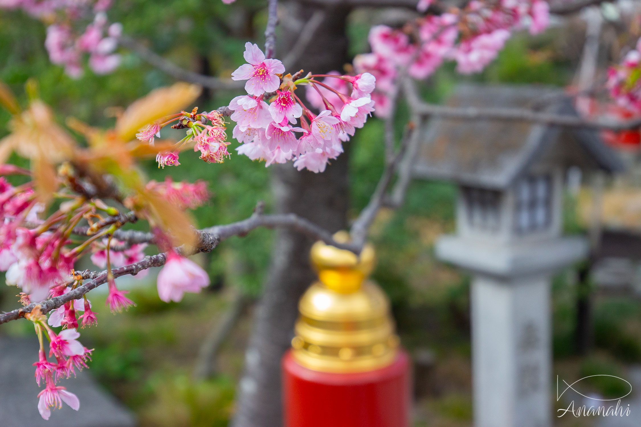 Kamakura