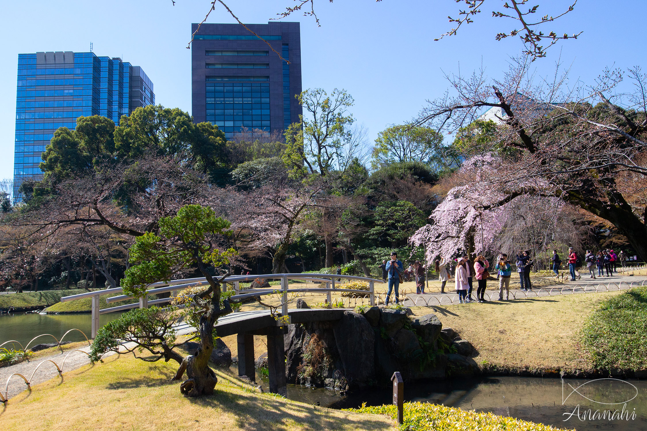 Bunkyo