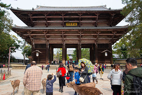 Nara de japon