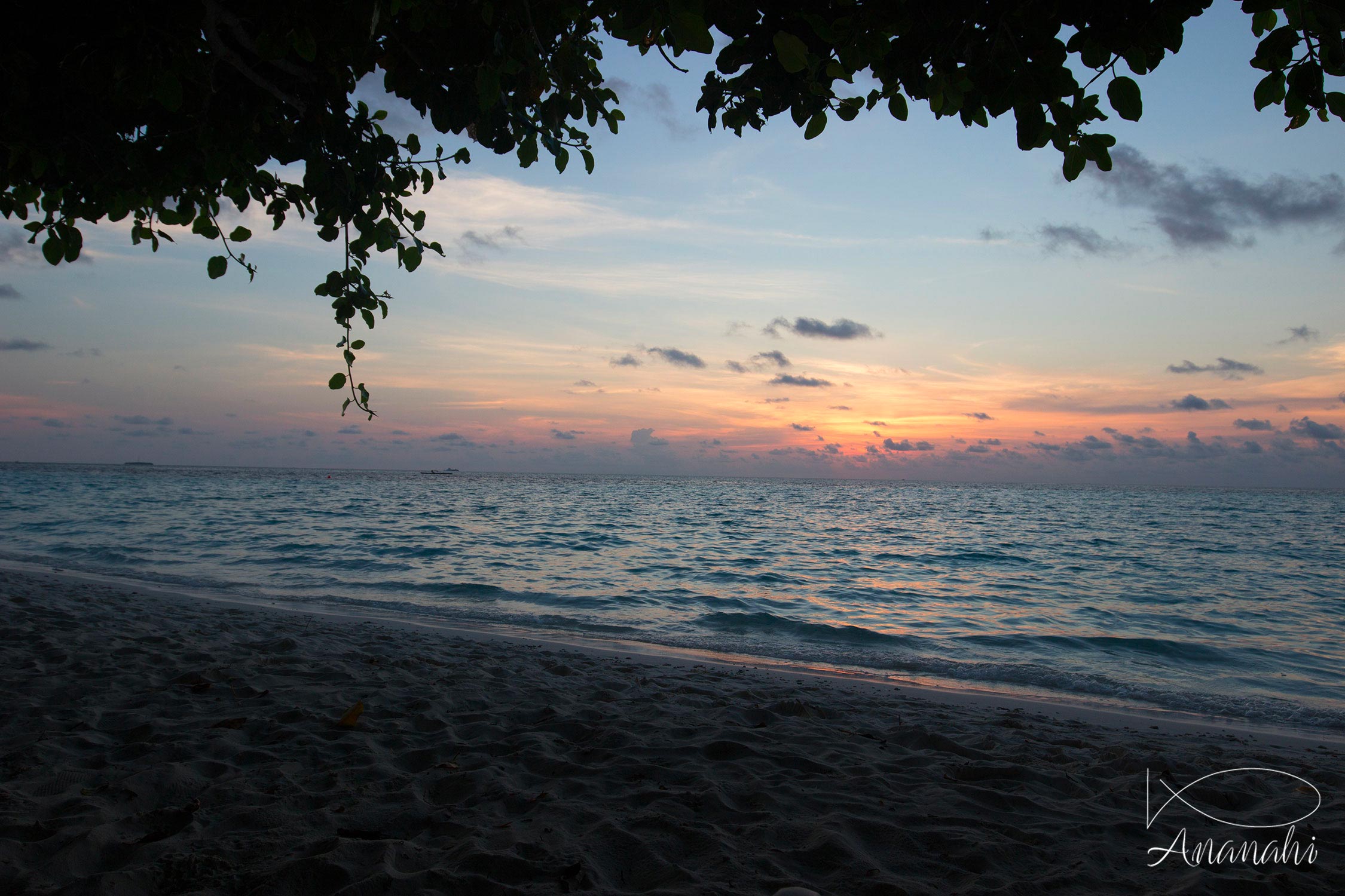 Île de Biyadhoo de Maldives