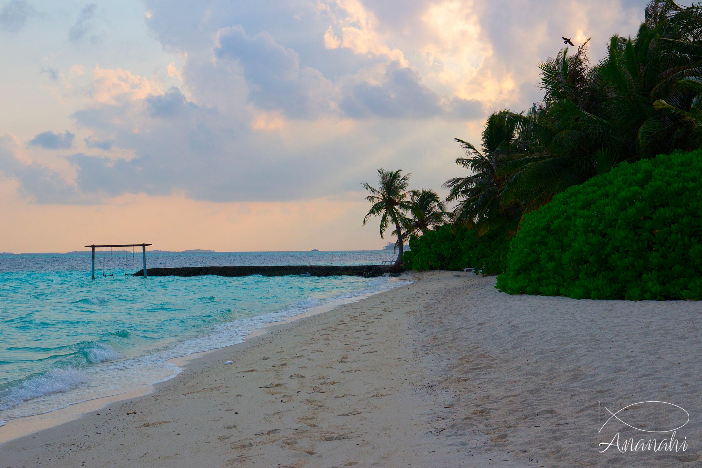 Île de Biyadhoo de Maldives