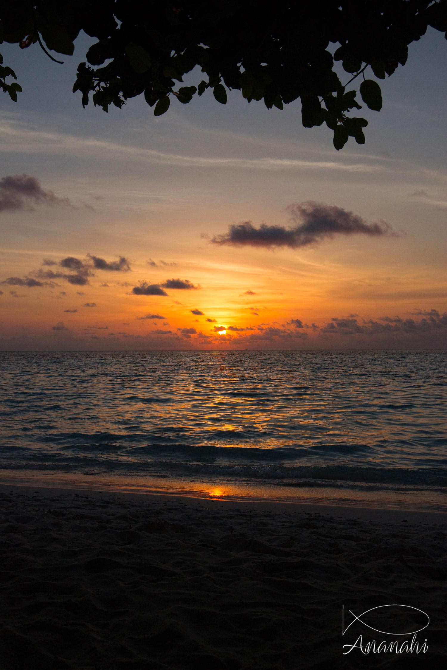 Île de Biyadhoo de Maldives