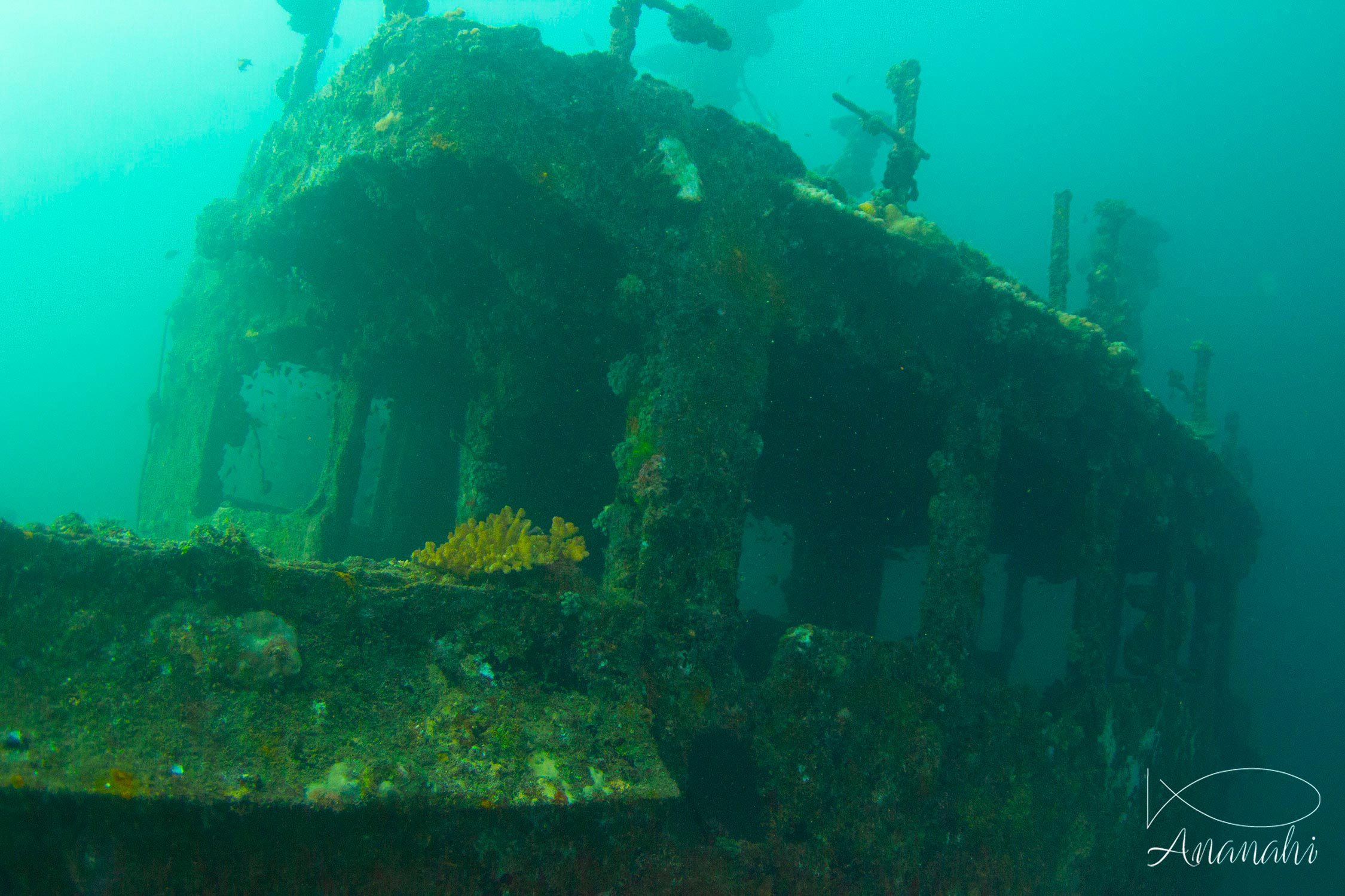 Epaves de bateaux de Maldives