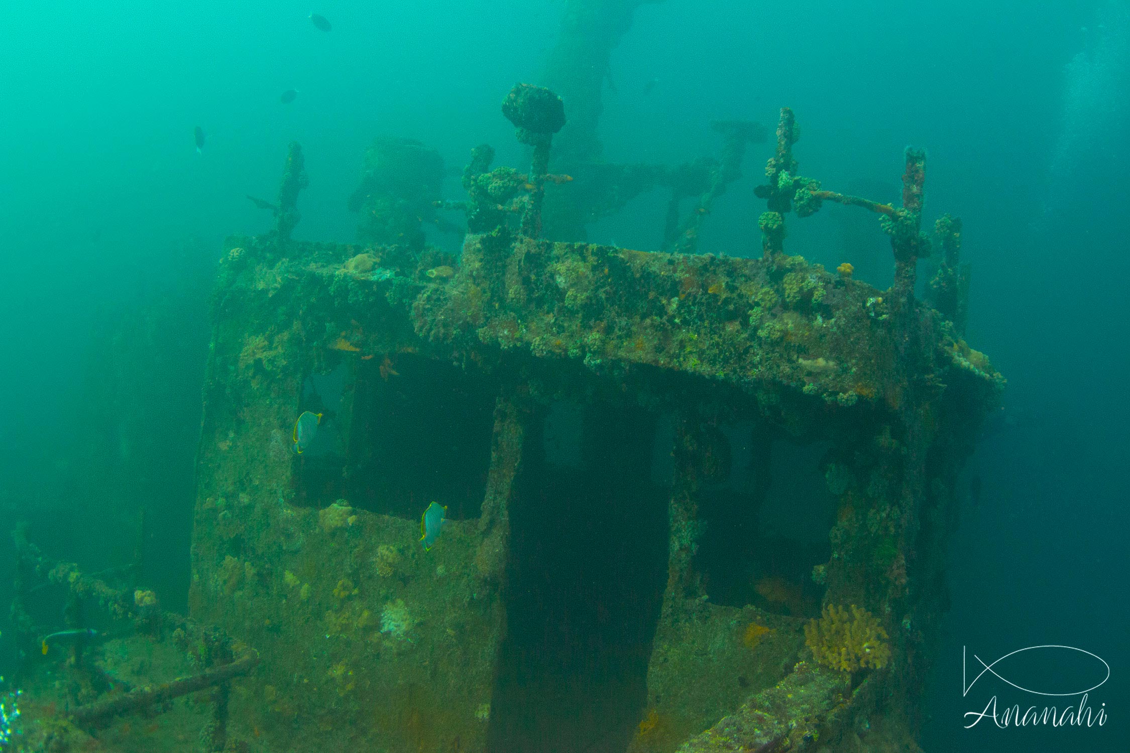 Epaves de bateaux de Maldives