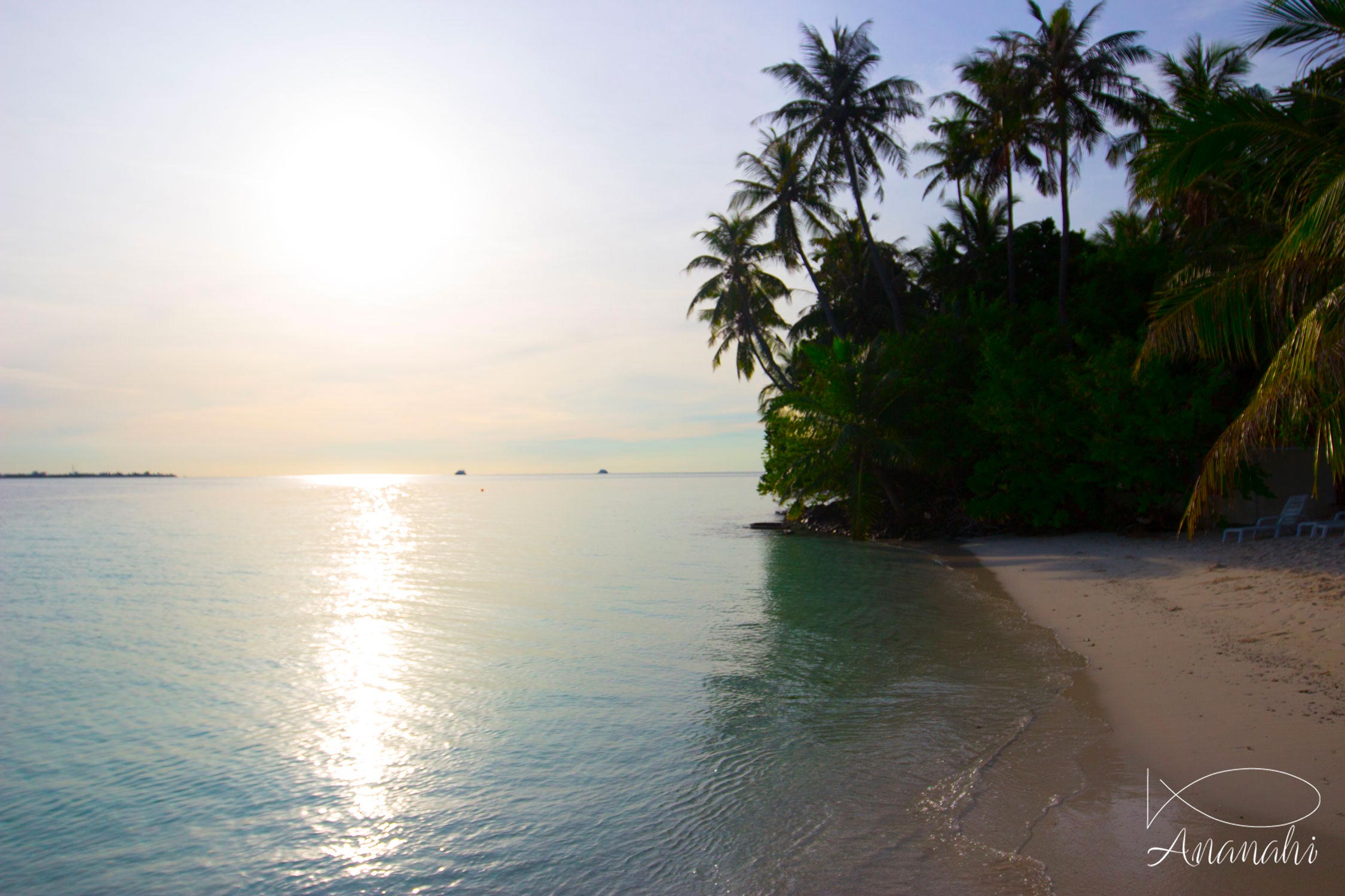 Île de Biyadhoo de Maldives