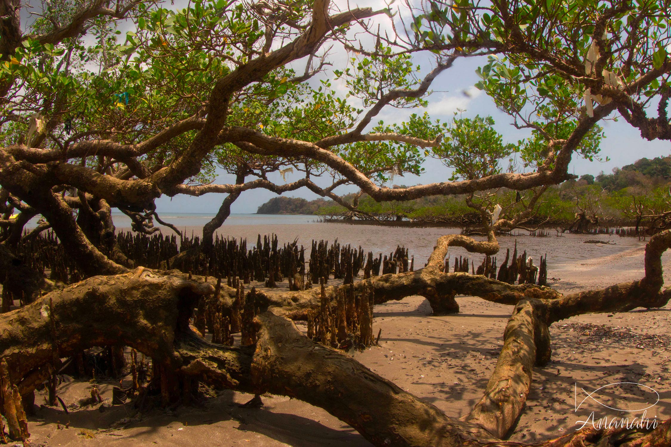 Paysages de Mayotte de Mayotte