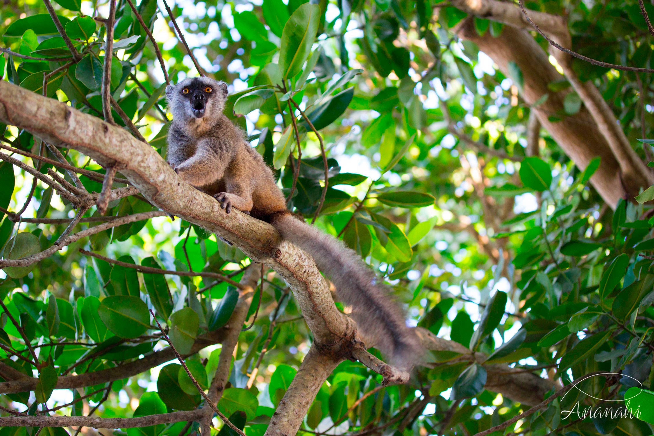 Paysages de Mayotte de Mayotte