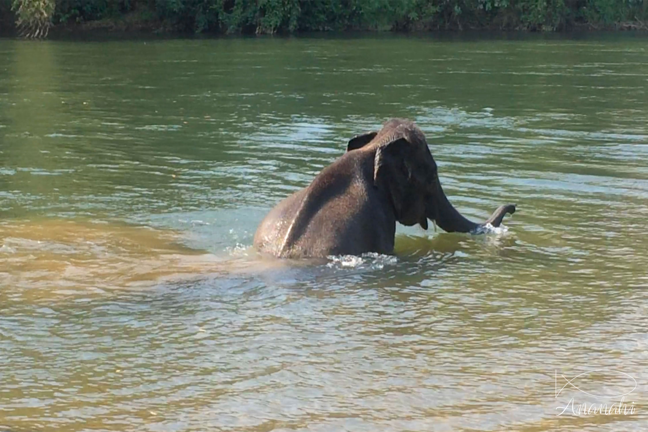 Paysages de Thailande de Thailande