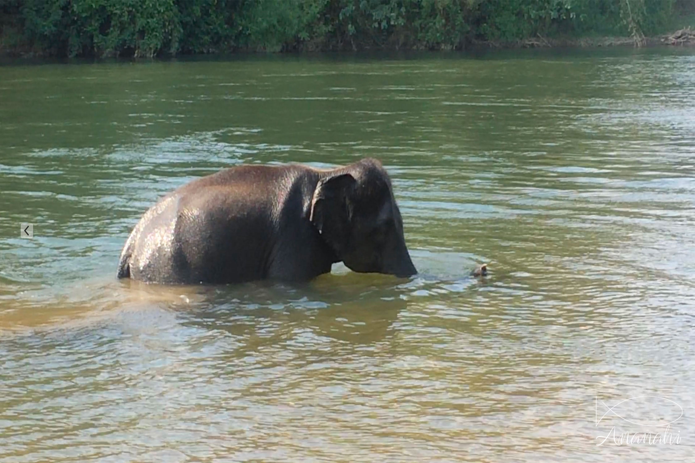 Paysages de Thailande de Thailande Paysages de Thailande de thailande