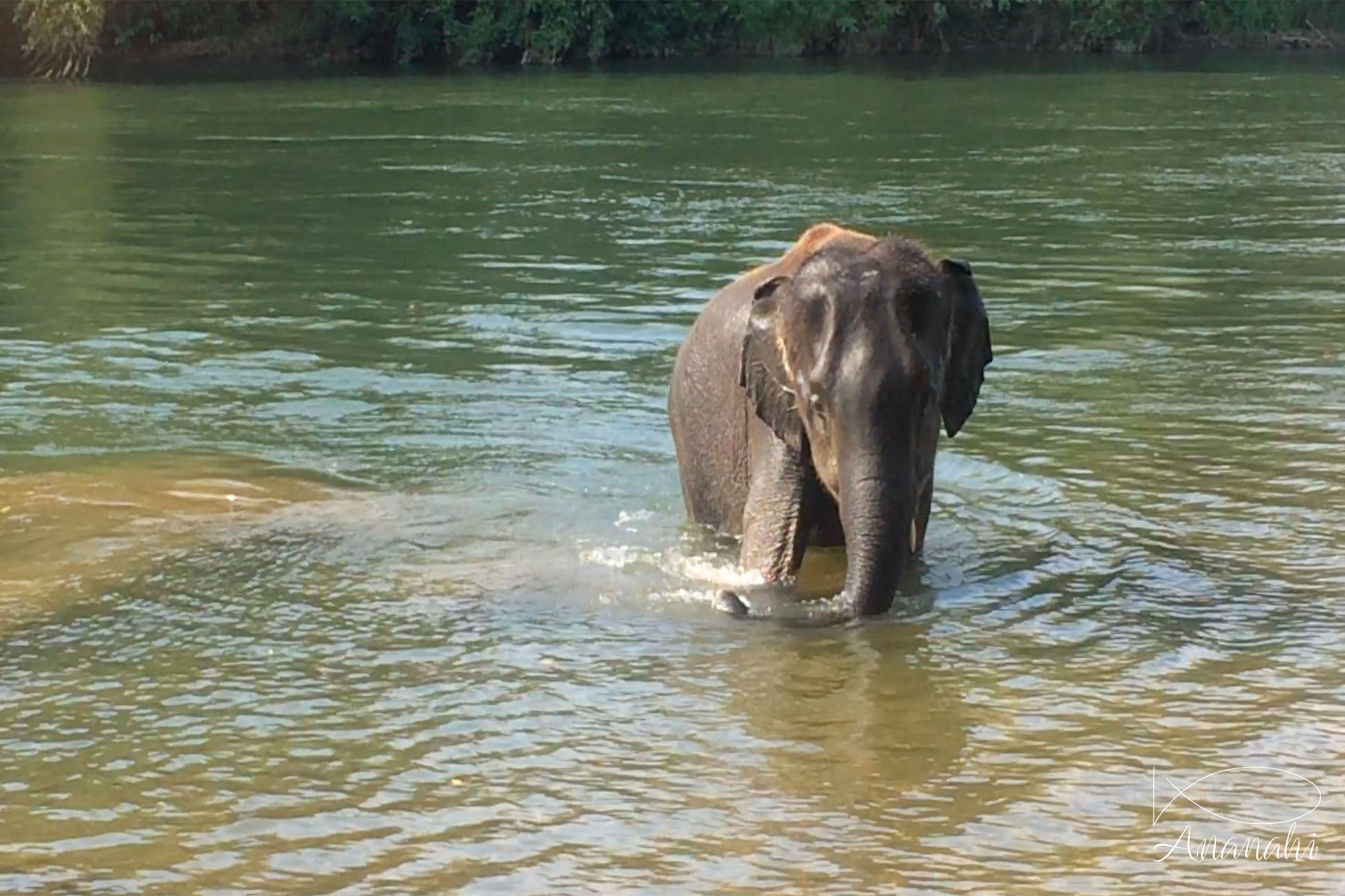Paysages de Thailande de Thailande Paysages de Thailande de thailande